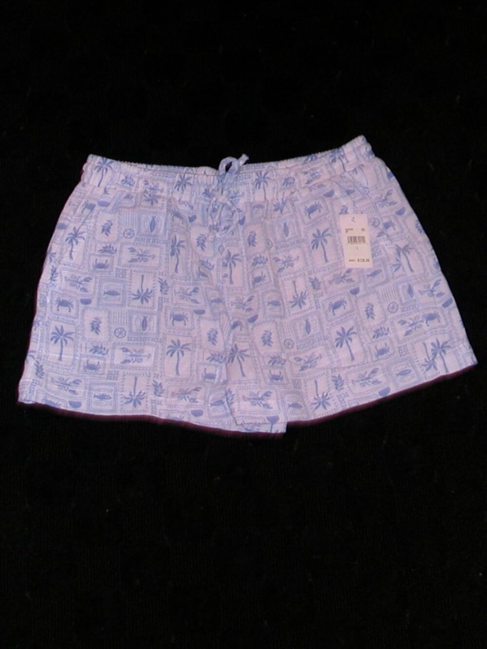 Splendid Muslin Beachy Light Blue Tropical Print Shorts NWT Size Large